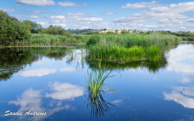 Westhay Moor